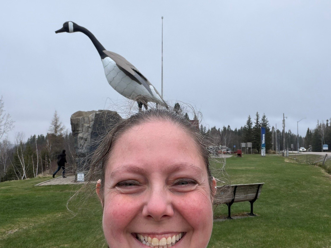Wawa Goose Statue-Wawa必去景点
