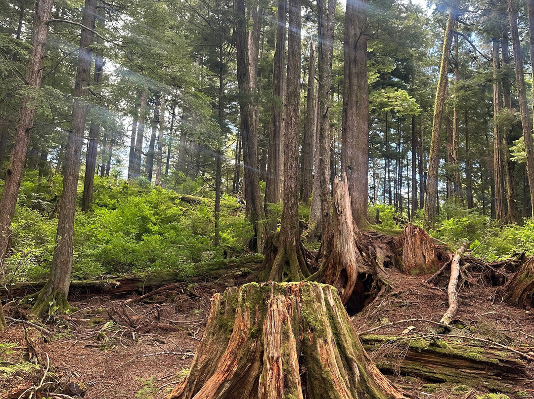 Totem Bight State Historical Park-凯奇坎必去景点