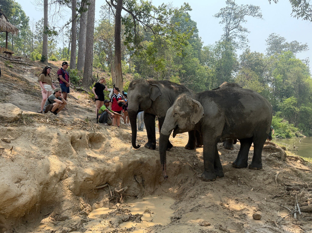 Pon Elephant Thailand-Mae Win必去景点