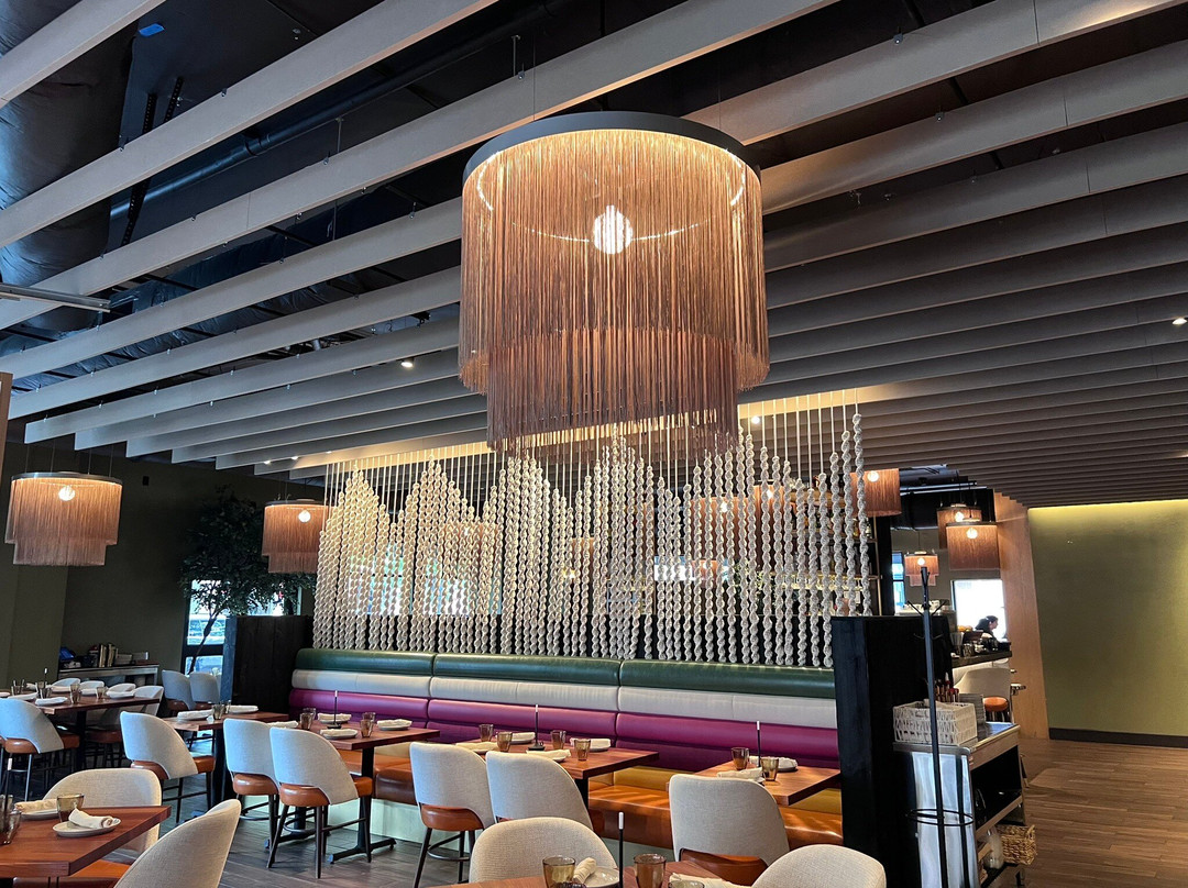 Coracora - Blue Back Square