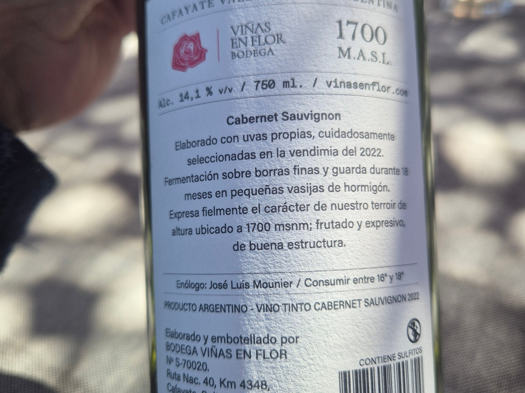 Viñas En Flor Bodega-卡法亚特必去景点