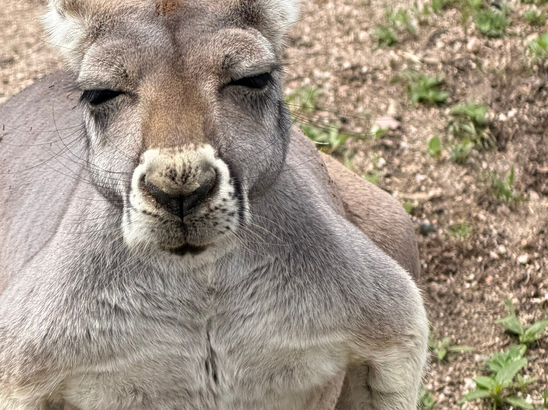 Equator's Edge Wildlife Center-Elizabeth必去景点