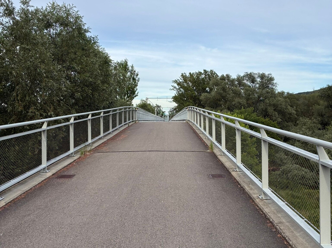 Freedom Cycling Bridge-Devinska Nova Ves必去景点