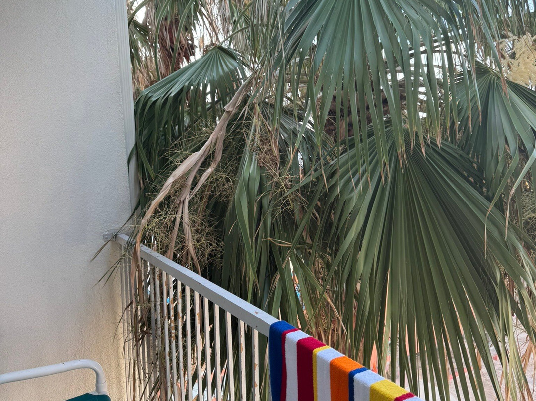 南帕诸岛海滩拉昆塔温德姆套房酒店(South Padre Island Beach)主图