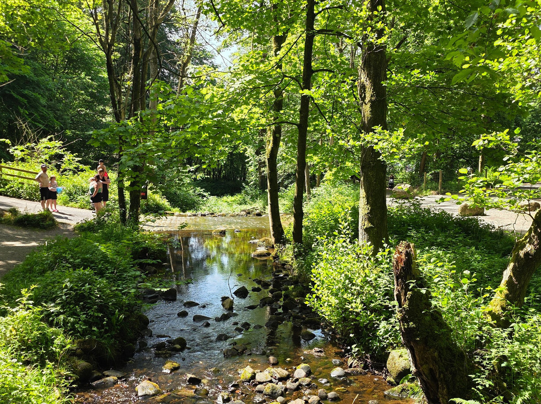 Bolton Abbey Wharfedale-Bolton Abbey必去景点