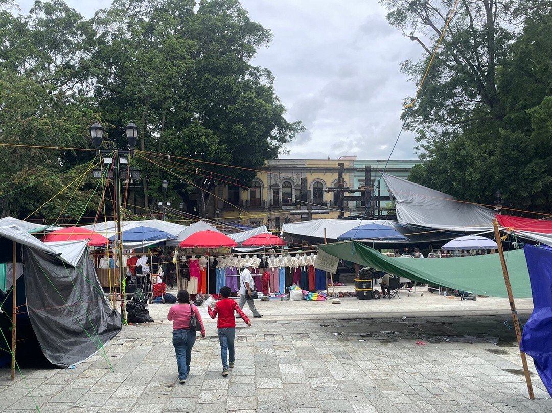 Zócalo-瓦哈卡必去景点