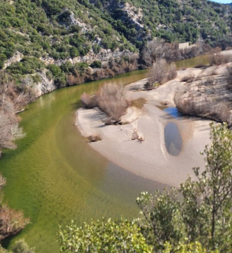 Kantina Nestos