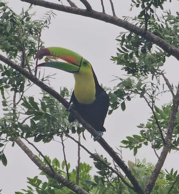 Costa Rica Expedition Tours-Culebra必去景点