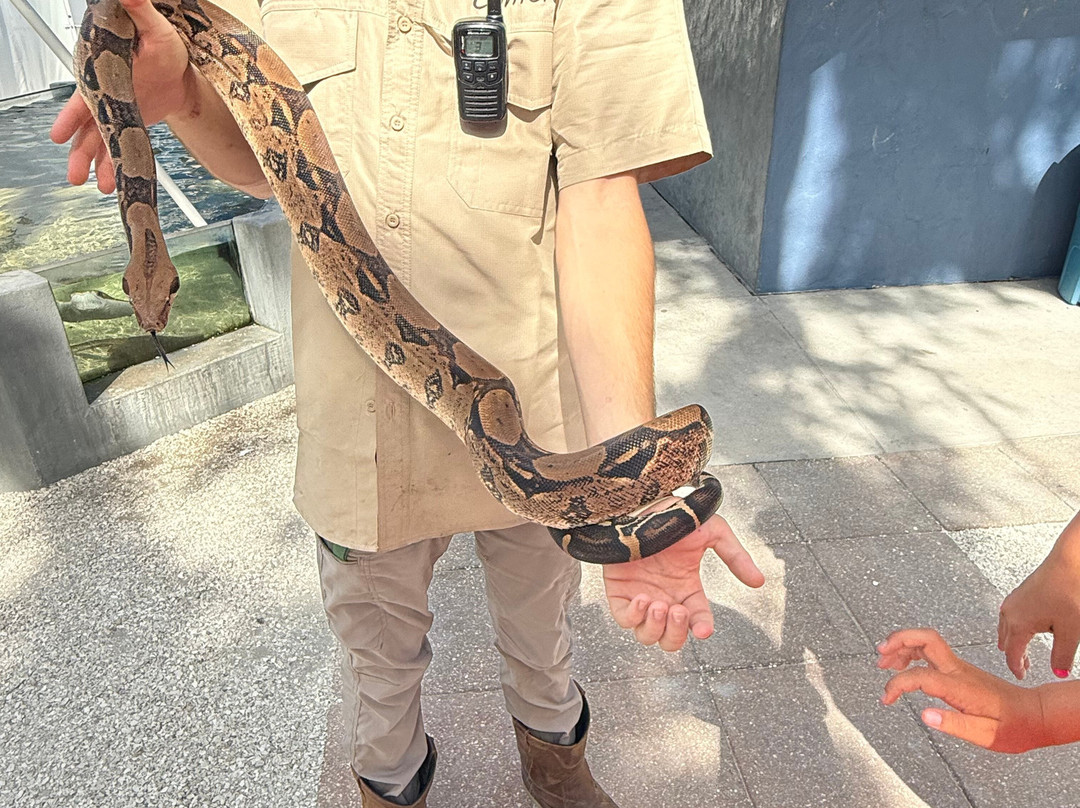 Tarpon Springs Aquarium and Animal Sanctuary-塔彭斯普林斯必去景点