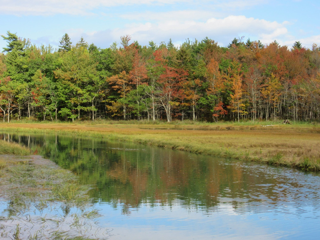 Rachel Carson National Wildlife Refuge-韦尔斯必去景点