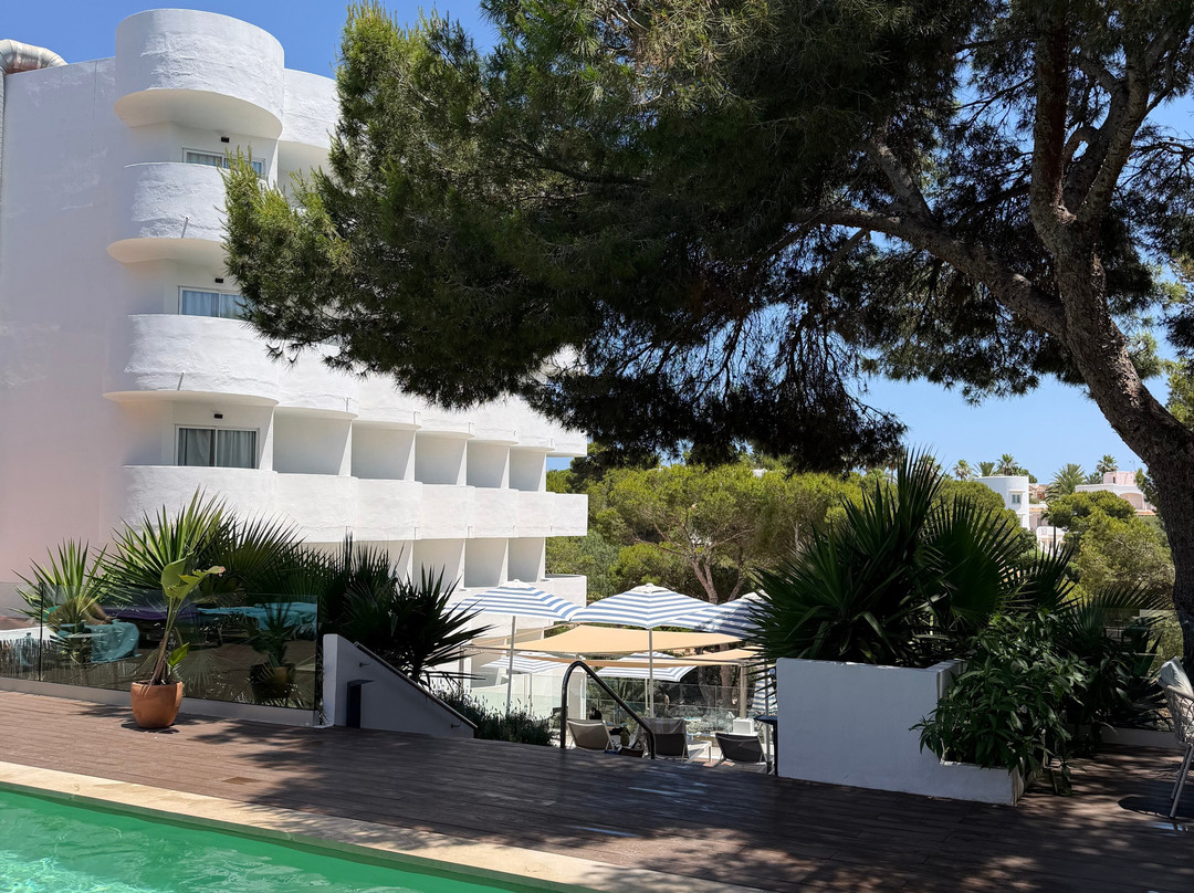 AluaSoul Mallorca Resort - Adults Only主图