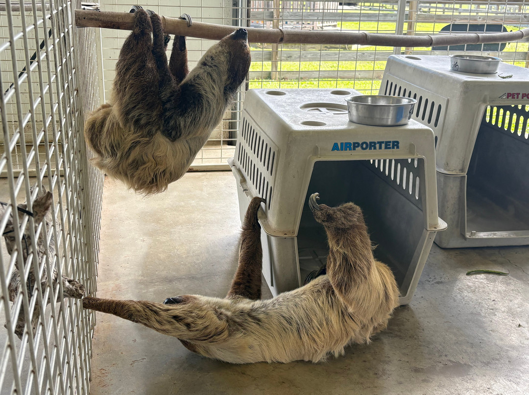 TGR Exotics Wildlife Park-斯普林必去景点
