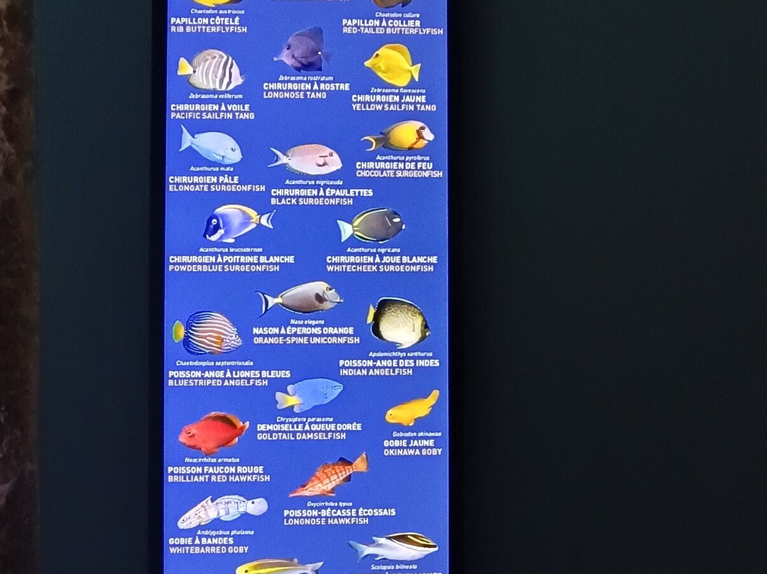 Aquarium La Rochelle-拉罗谢尔必去景点