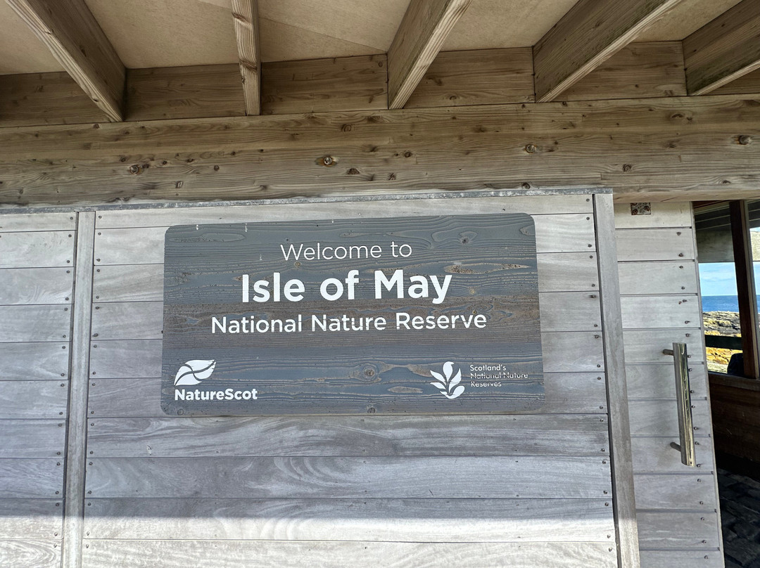 Isle Of May Boat Trips-Anstruther必去景点