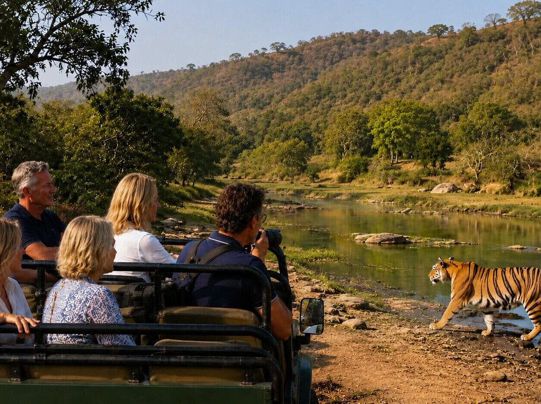 Bandhavgarh National Park-Bandhavgarh National Park必去景点