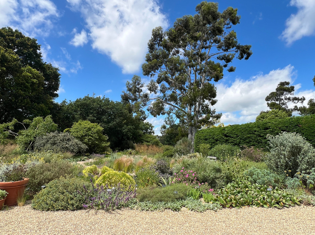 Beth Chatto's Plants & Gardens-科尔切斯特必去景点