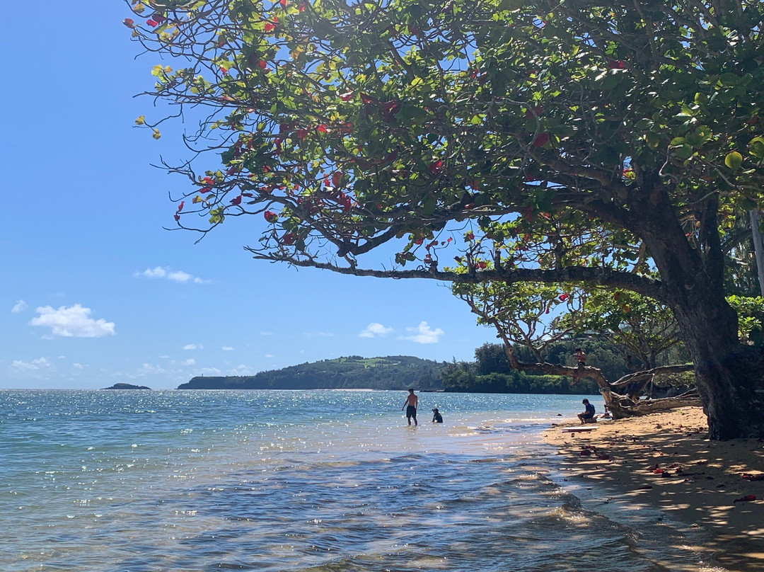 阿尼尼海滩-可爱岛必去景点