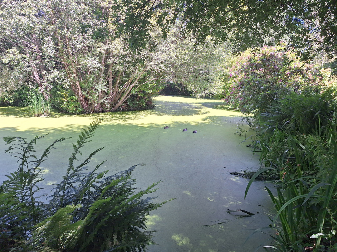 Conwy Water Gardens-Rowen必去景点