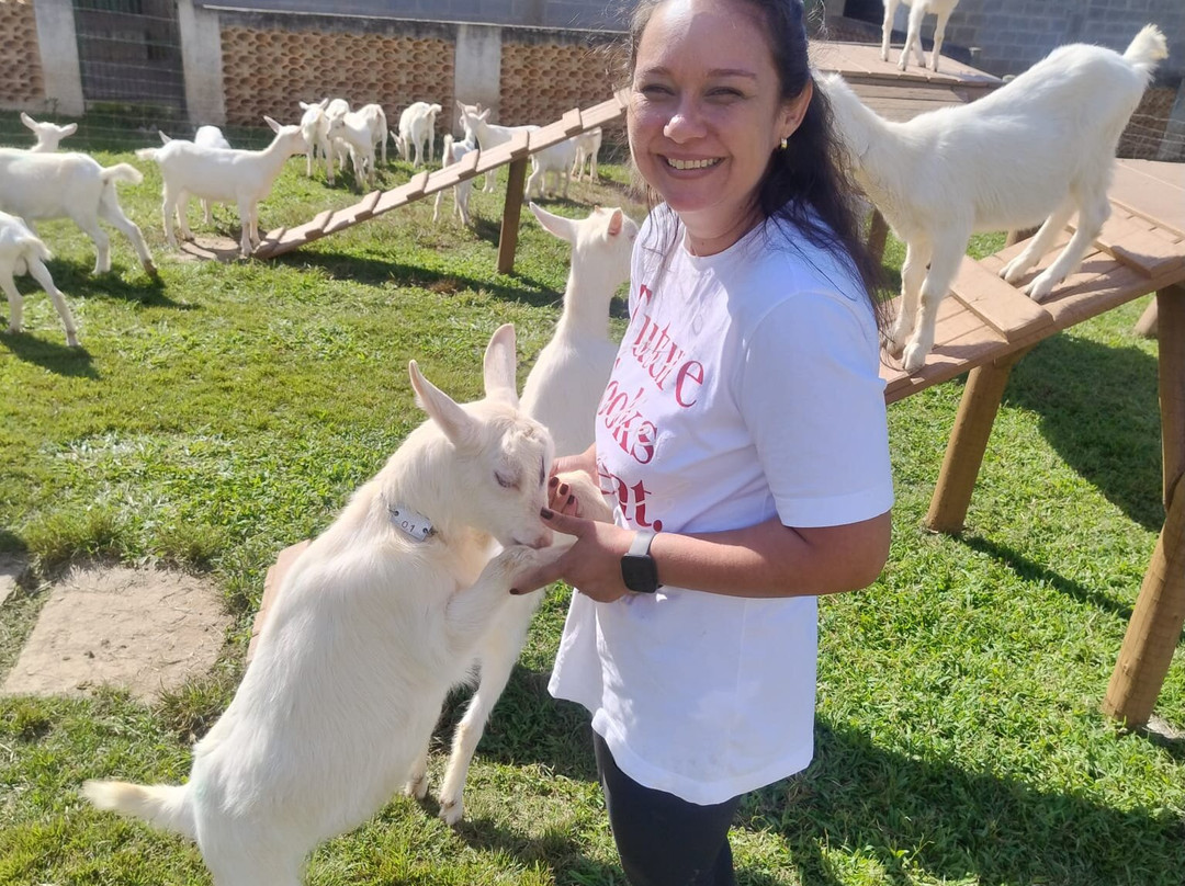 Capriana Granja Leiteira
