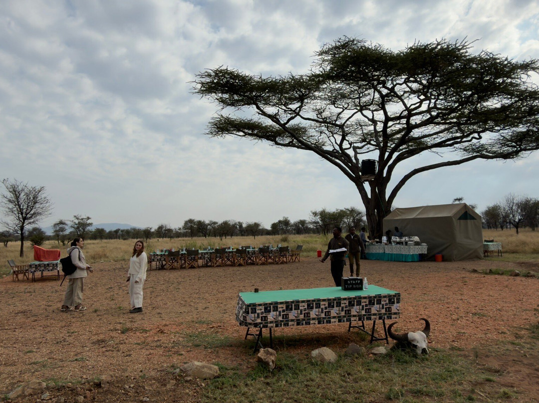 Adventures Aloft Balloon Safari Tanzania-Ikoma必去景点