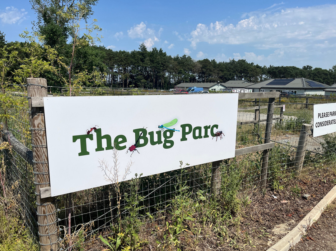The Bug Parc-Lenwade必去景点