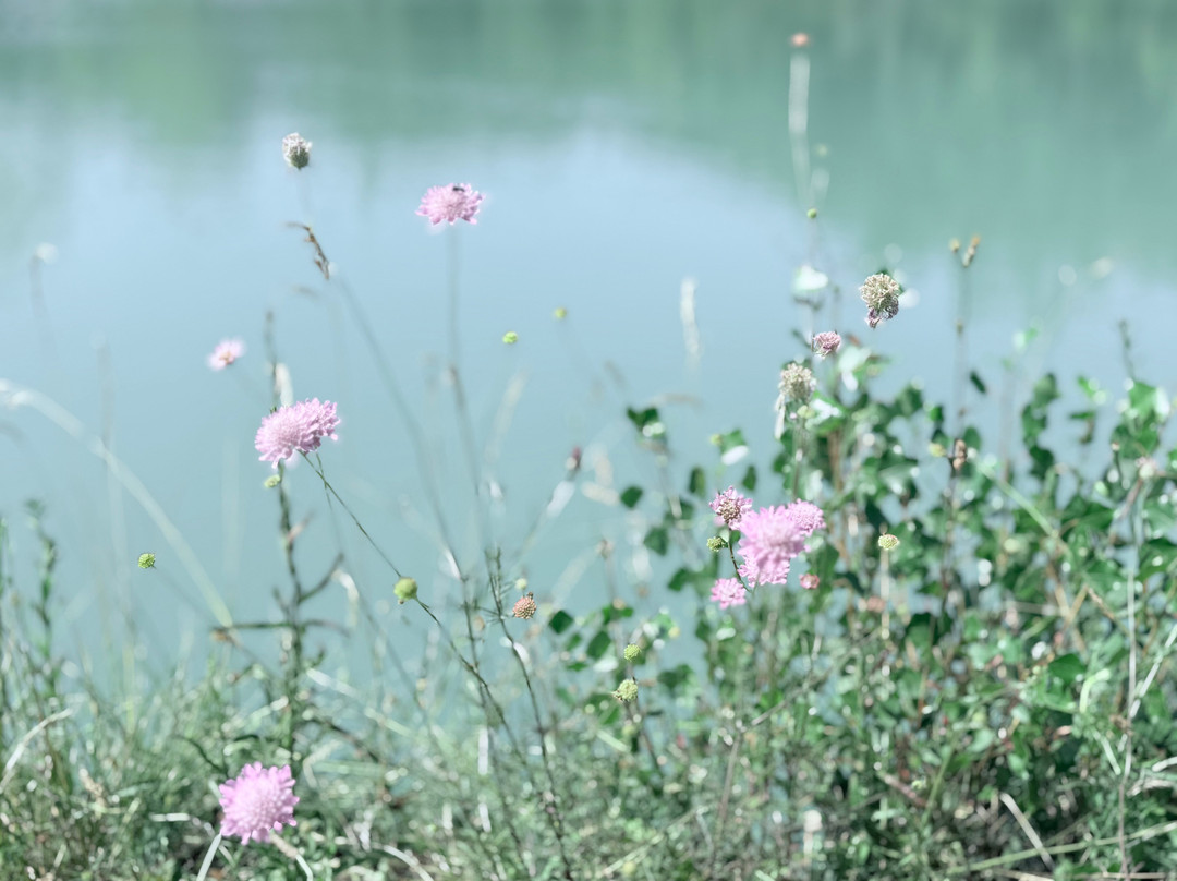 Birding In Italy-Capolona必去景点