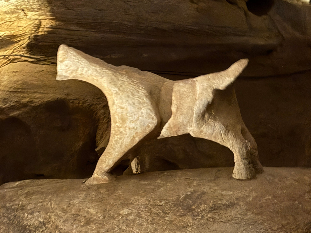Longhorn Cavern State Park-Burnet必去景点