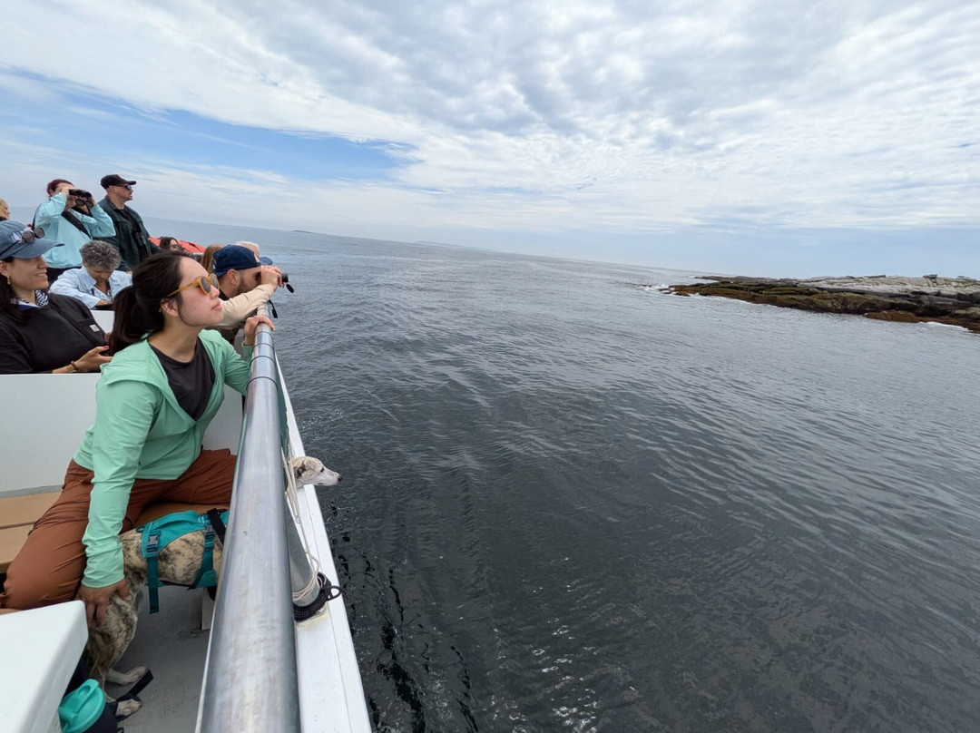 Hardy Boat Cruises-New Harbor必去景点