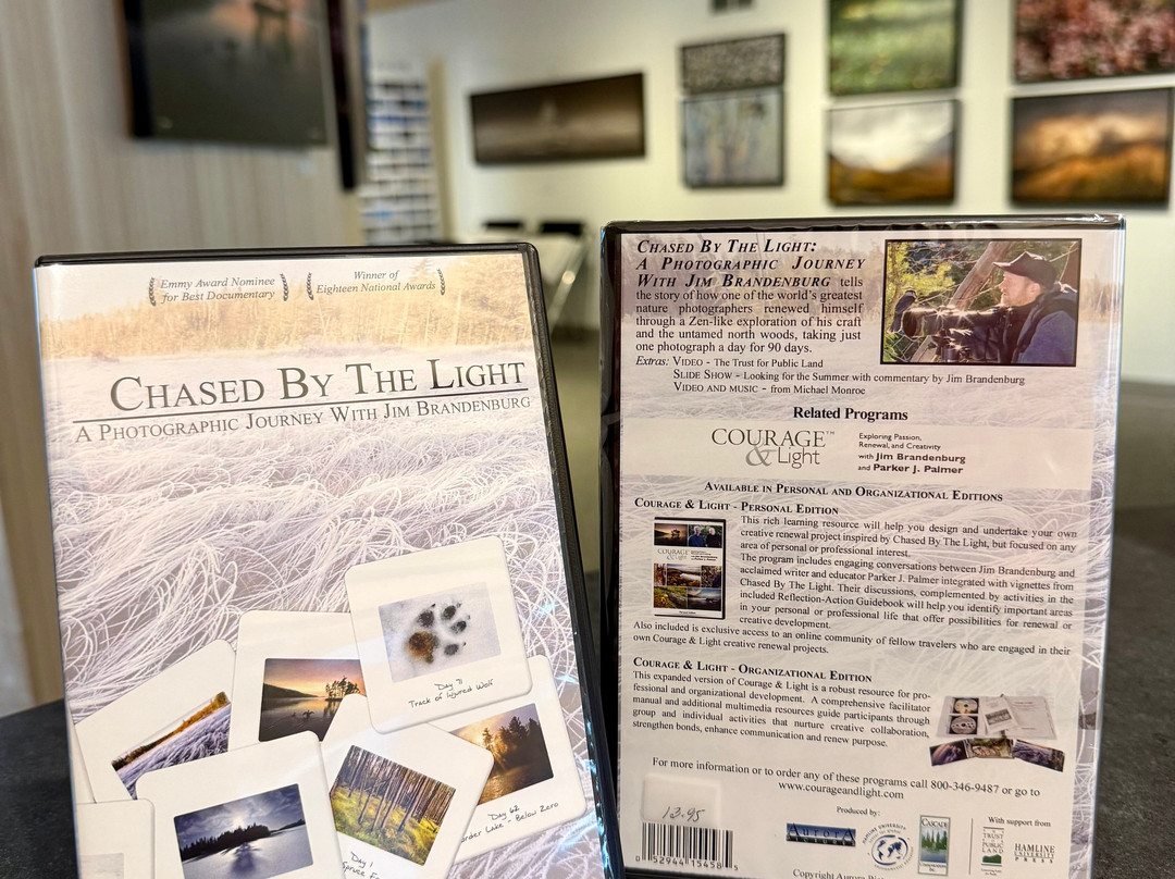 Brandenburg Gallery-伊利必去景点