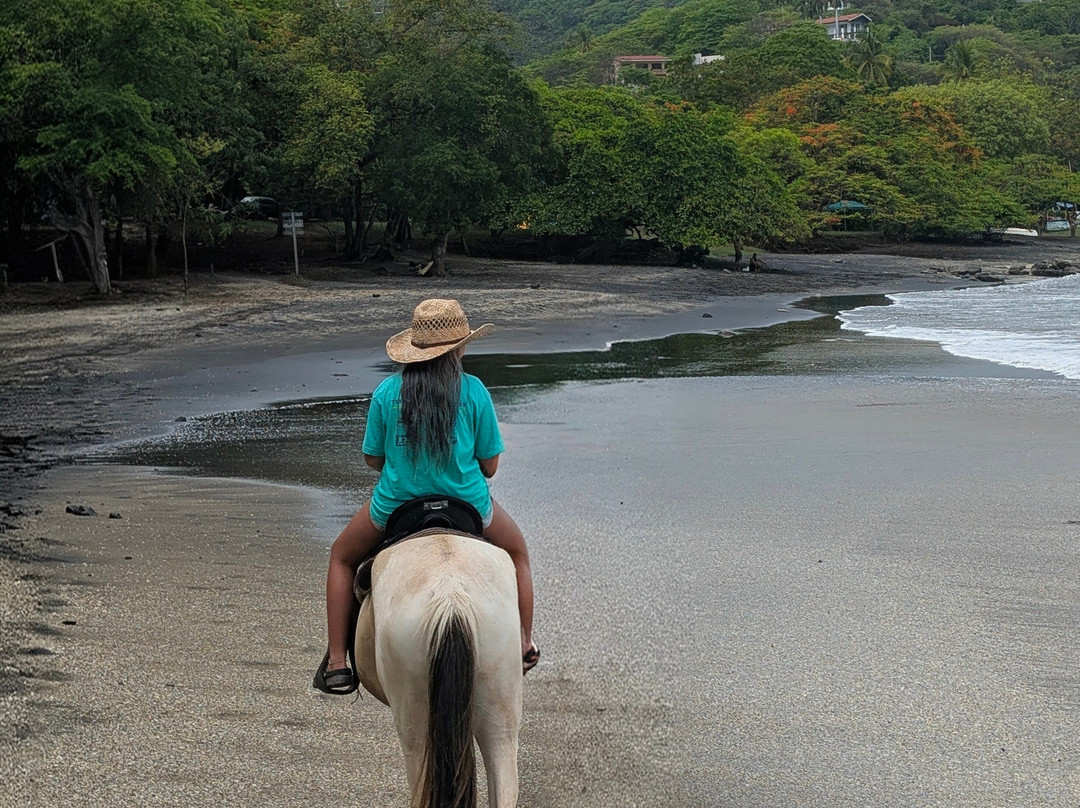 The Monkey Farm-Playa Ocotal必去景点