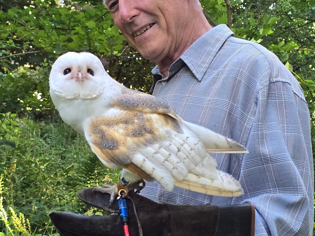Hampshire Hawk Walks-Four Marks必去景点
