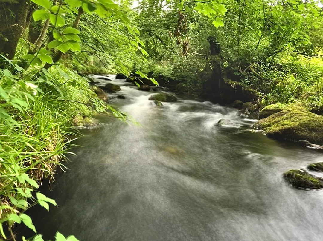 Golitha Falls-利斯卡德必去景点
