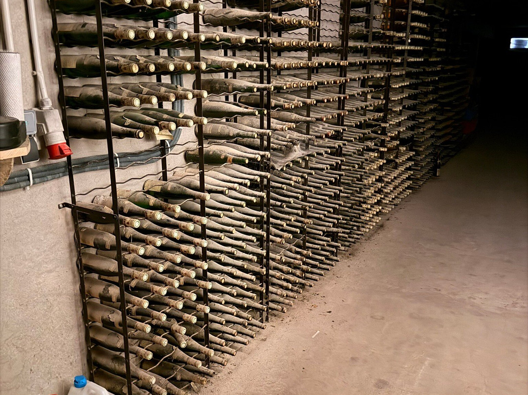 Domaine Albert Seltz-米特贝汉必去景点