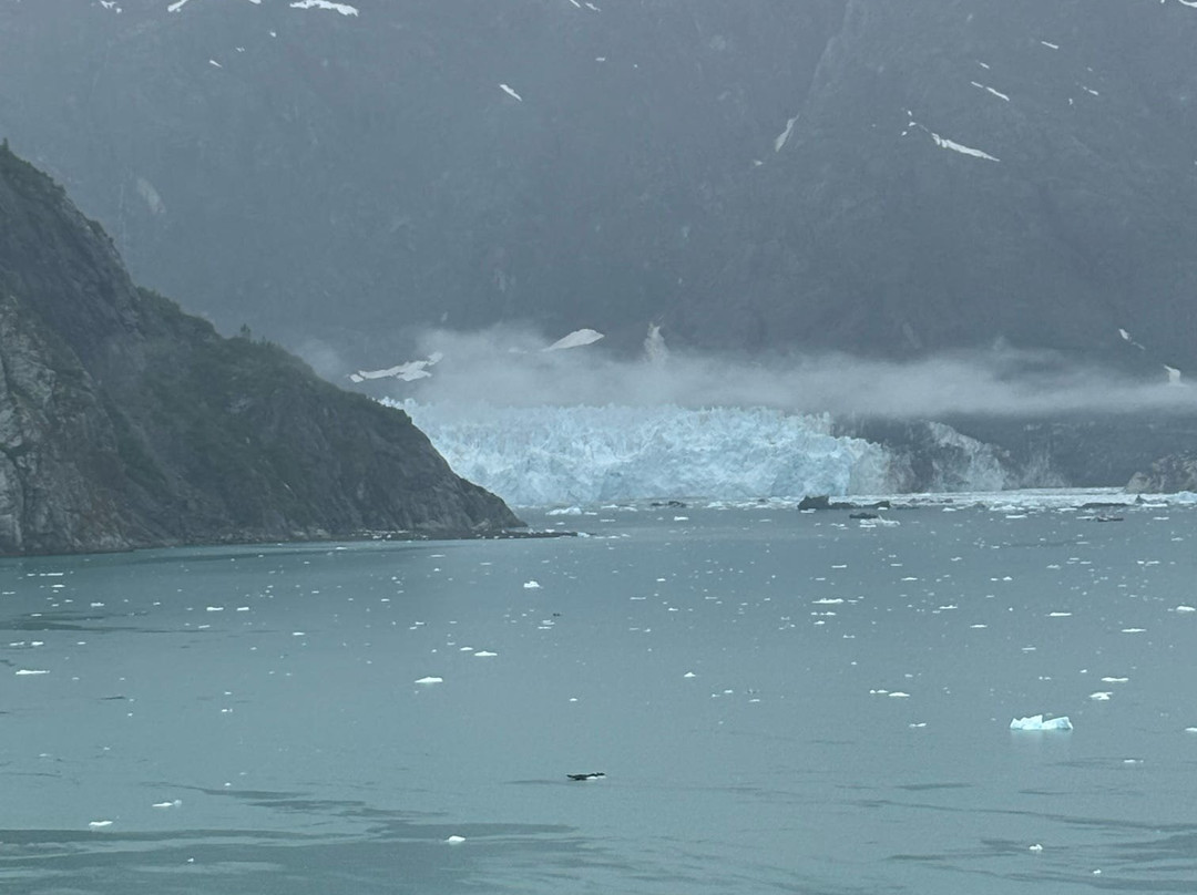 冰川湾-Glacier Bay National Park and Preserve必去景点