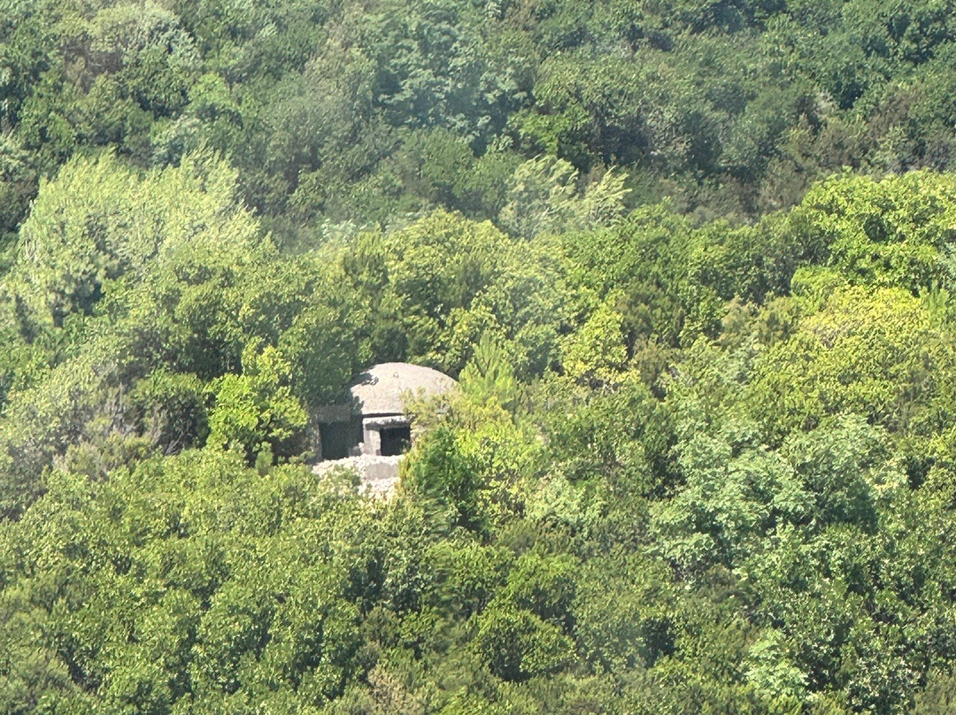 Dajti Ekspres Cable Car-地拉那必去景点