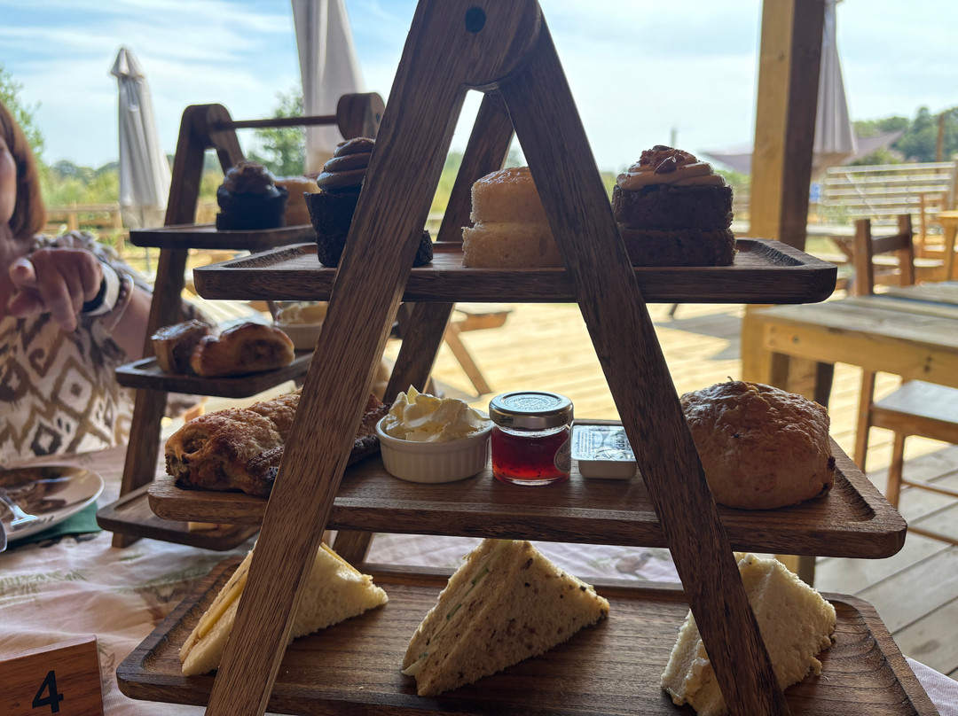 Quex Adventure Farm Park-Birchington必去景点