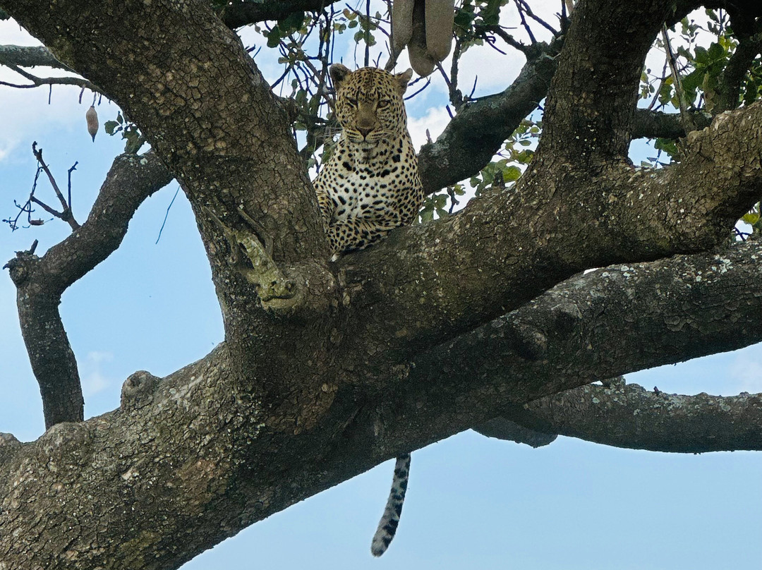 BADGER ADVENTURES TOURS & SAFARI-Arusha Chini必去景点