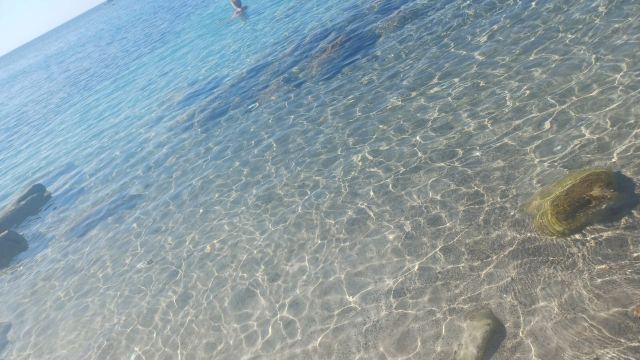 Hotel Cala Fiorita-旅行者