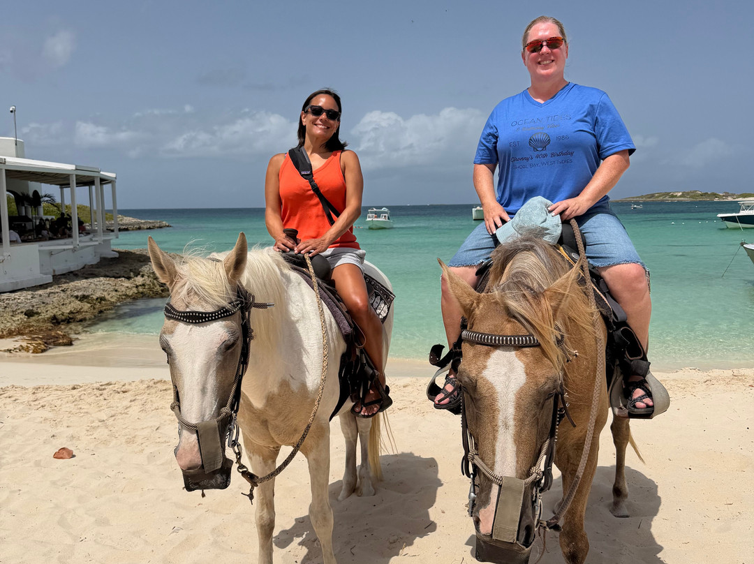Seaside Stables Anguilla-West End Village必去景点