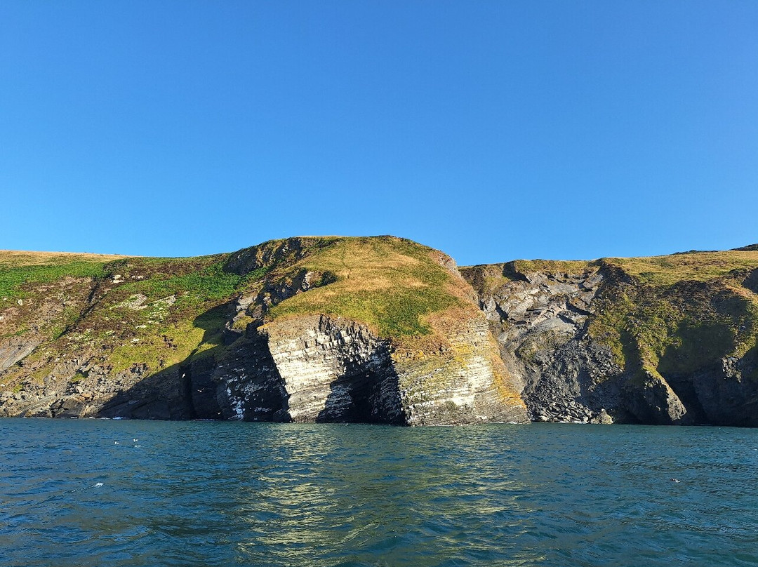 SeaMor Dolphin Watching Boat Trip-纽基必去景点