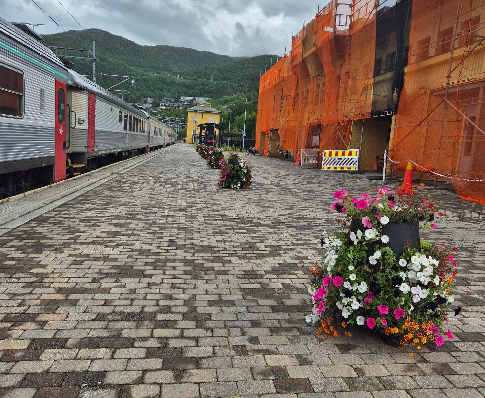 Narvik Train Station-纳尔维克必去景点