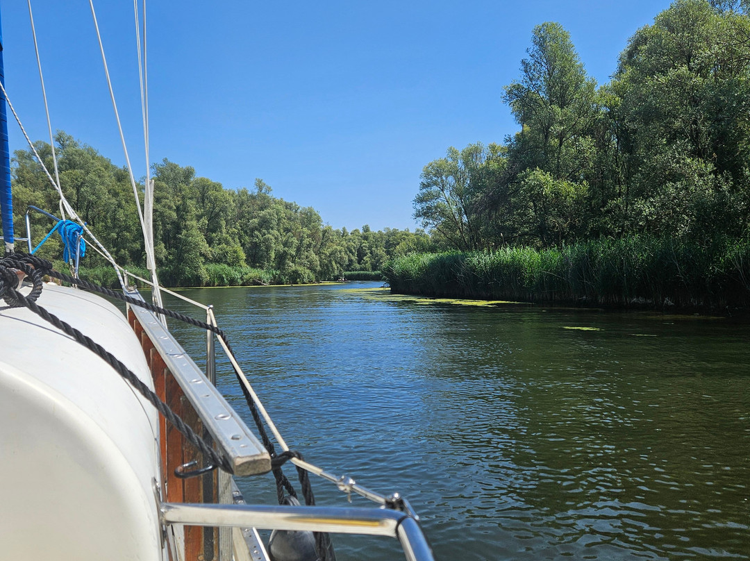 Biesbosch Mini Cruises-Drimmelen必去景点