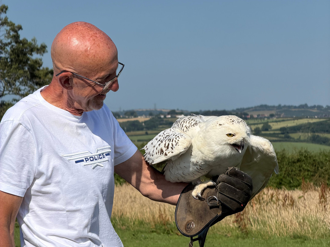 The British Bird of Prey Centre-喀麦登必去景点