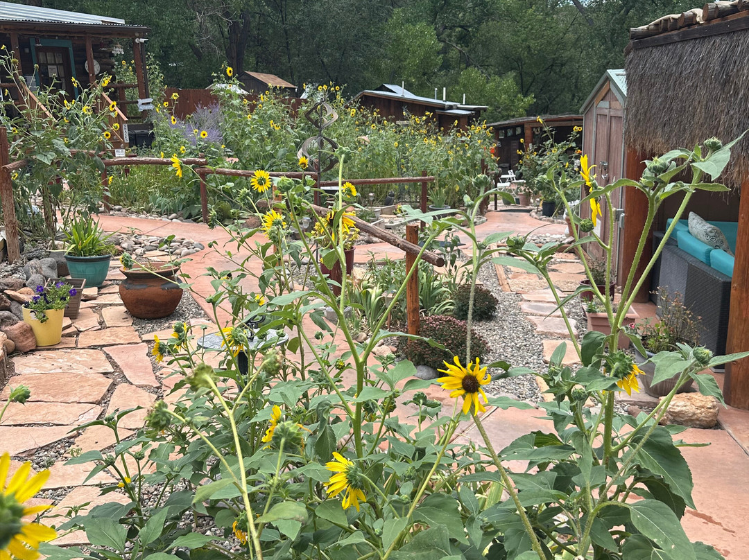 Jemez Hot Springs-Jemez Springs必去景点