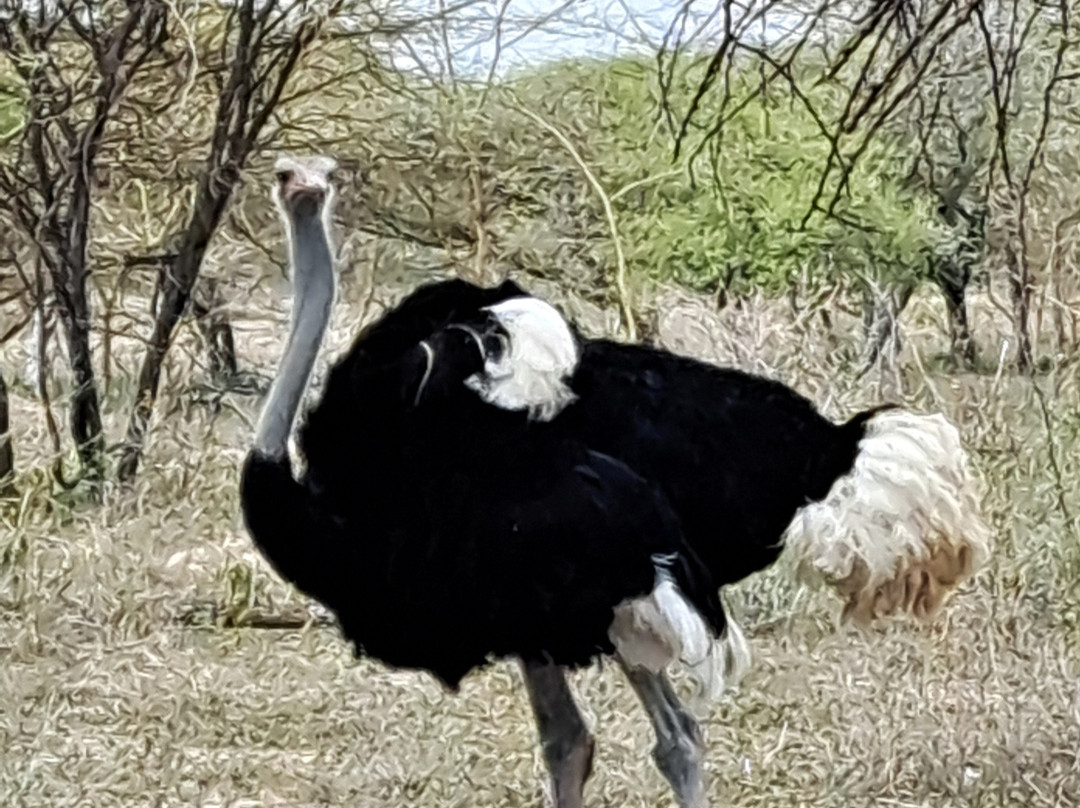 Eyayaw Tours Ethiopia-亚的斯亚贝巴必去景点