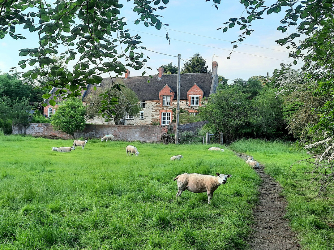 Blakesley酒店住宿-The Old Rectory Nr Silverstone