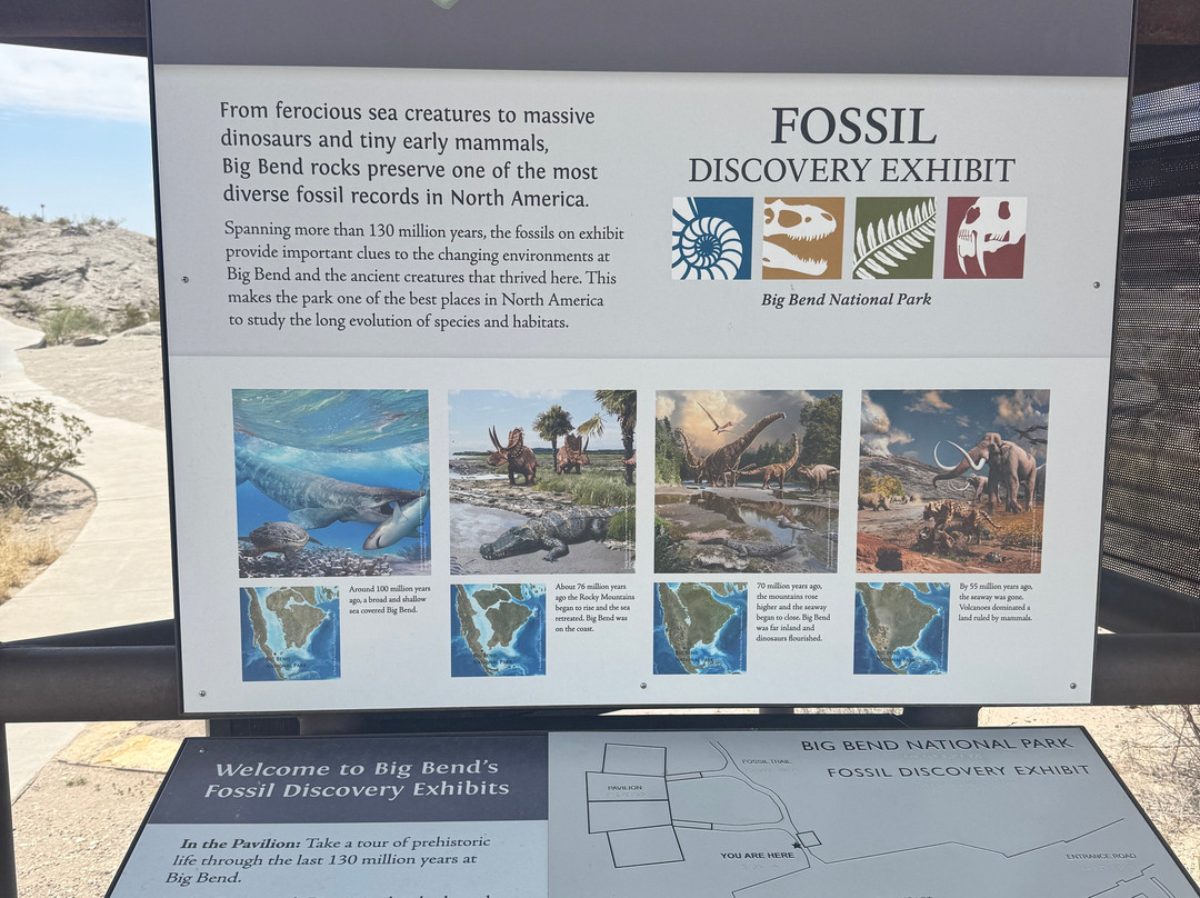 Big Bend National Park - Fossil Bone Exhibit-大弯国家公园必去景点