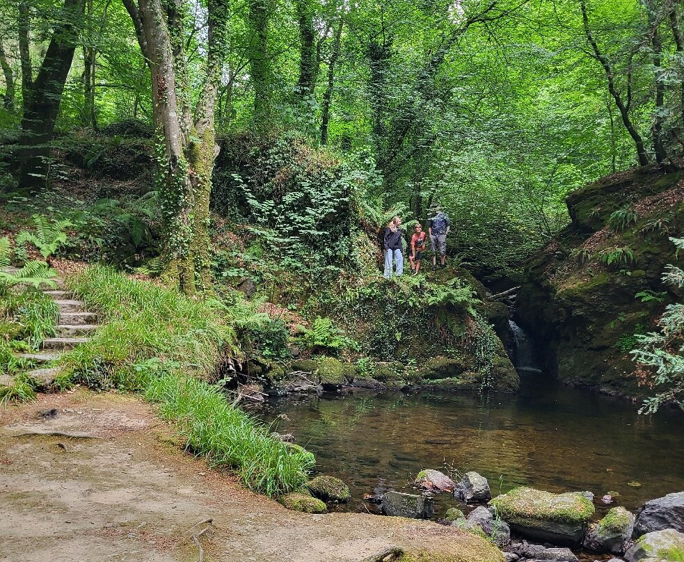 Plas Cadnant Hidden Gardens-Menai Bridge必去景点