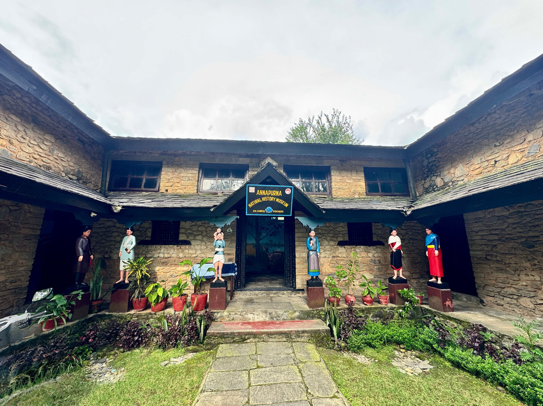 Annapurna Butterfly Museum-博卡拉必去景点
