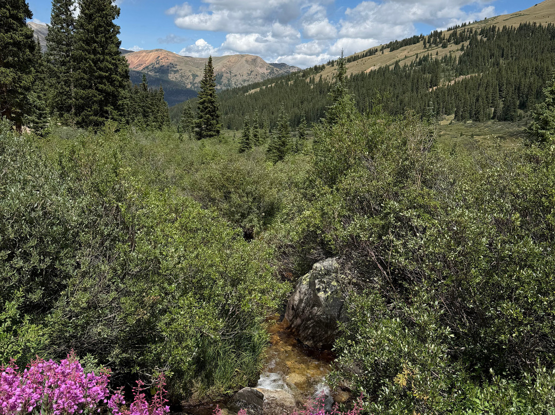 Mayflower Gulch-Leadville必去景点
